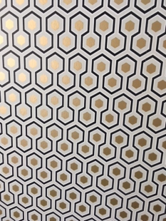 Me ALEXANDRE Notaire Papier peint